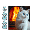 飛び出す★冬を感じる白猫_挨拶（個別スタンプ：14）