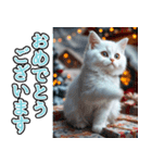 飛び出す★冬を感じる白猫_挨拶（個別スタンプ：16）