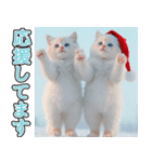 飛び出す★冬を感じる白猫_挨拶（個別スタンプ：17）