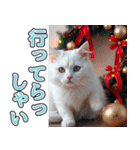 飛び出す★冬を感じる白猫_挨拶（個別スタンプ：19）