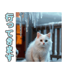飛び出す★冬を感じる白猫_挨拶（個別スタンプ：20）