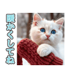飛び出す★冬を感じる白猫_挨拶（個別スタンプ：21）