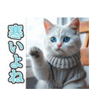 飛び出す★冬を感じる白猫_挨拶（個別スタンプ：22）