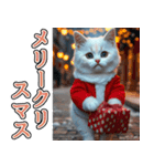 飛び出す★冬を感じる白猫_挨拶（個別スタンプ：23）