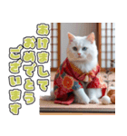 飛び出す★冬を感じる白猫_挨拶（個別スタンプ：24）