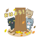 飛び出す！秋 3びきのこねこ♪（個別スタンプ：3）