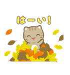 飛び出す！秋 3びきのこねこ♪（個別スタンプ：6）