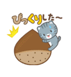 飛び出す！秋 3びきのこねこ♪（個別スタンプ：15）