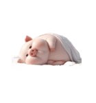 ピンクのブタはただ寝そべりたいだけ（個別スタンプ：28）