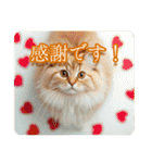 ゆるかわ猫の引き寄せスタンプ（個別スタンプ：1）