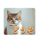 ゆるかわ猫の引き寄せスタンプ（個別スタンプ：3）