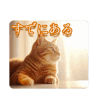 ゆるかわ猫の引き寄せスタンプ（個別スタンプ：5）
