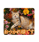 ゆるかわ猫の引き寄せスタンプ（個別スタンプ：13）