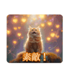 ゆるかわ猫の引き寄せスタンプ（個別スタンプ：17）
