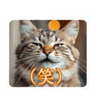 ゆるかわ猫の引き寄せスタンプ（個別スタンプ：20）
