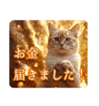 ゆるかわ猫の引き寄せスタンプ（個別スタンプ：25）