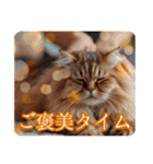ゆるかわ猫の引き寄せスタンプ（個別スタンプ：26）