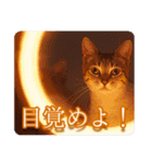 ゆるかわ猫の引き寄せスタンプ（個別スタンプ：29）
