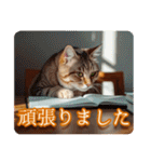 ゆるかわ猫の引き寄せスタンプ（個別スタンプ：33）