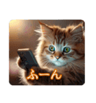 ゆるかわ猫の引き寄せスタンプ（個別スタンプ：34）