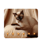 ゆるかわ猫の引き寄せスタンプ（個別スタンプ：35）