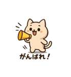 豆ねこ三兄弟2（個別スタンプ：23）