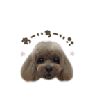 ぷぅくん☆2mix（個別スタンプ：8）