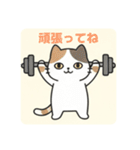 まるまるのねこちゃん4（個別スタンプ：17）
