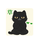 まるまるのねこちゃん4（個別スタンプ：24）