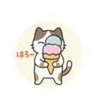 まるまるのねこちゃん4（個別スタンプ：29）