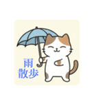 まるまるのねこちゃん4（個別スタンプ：31）