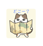 まるまるのねこちゃん4（個別スタンプ：33）