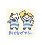 まるまるのねこちゃん4（個別スタンプ：37）