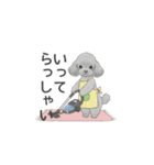 家族で使いやすいスタンプ（トイプードル）（個別スタンプ：3）