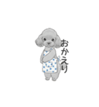 家族で使いやすいスタンプ（トイプードル）（個別スタンプ：4）