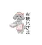 家族で使いやすいスタンプ（トイプードル）（個別スタンプ：5）