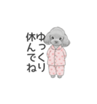 家族で使いやすいスタンプ（トイプードル）（個別スタンプ：6）