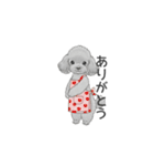 家族で使いやすいスタンプ（トイプードル）（個別スタンプ：8）