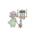 家族で使いやすいスタンプ（トイプードル）（個別スタンプ：19）