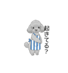 家族で使いやすいスタンプ（トイプードル）（個別スタンプ：25）