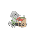 家族で使いやすいスタンプ（トイプードル）（個別スタンプ：27）