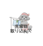 家族で使いやすいスタンプ（トイプードル）（個別スタンプ：34）