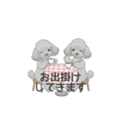 家族で使いやすいスタンプ（トイプードル）（個別スタンプ：38）