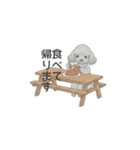 家族で使いやすいスタンプ（トイプードル）（個別スタンプ：39）
