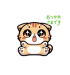 ねこのデイリースタンプ（個別スタンプ：5）