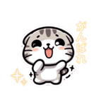 ねこのデイリースタンプ（個別スタンプ：17）