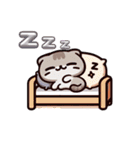 ねこのデイリースタンプ（個別スタンプ：28）