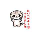 ねこのデイリースタンプ（個別スタンプ：30）