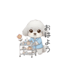 トイプー看護師さんのお仕事スタンプ（個別スタンプ：1）