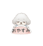 トイプー看護師さんのお仕事スタンプ（個別スタンプ：2）